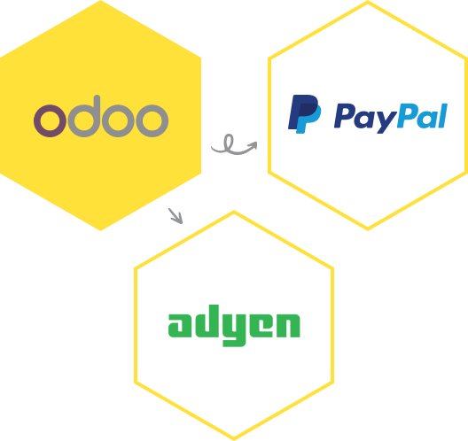 Odoo Payment Provider und Banken Anbindung durch Konnektor